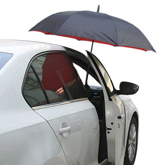 Inverted Car Umbrella