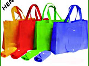Non-Woven Folding Shopping Bag